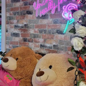 Valentines Trip -> Deposit $200 Per Person