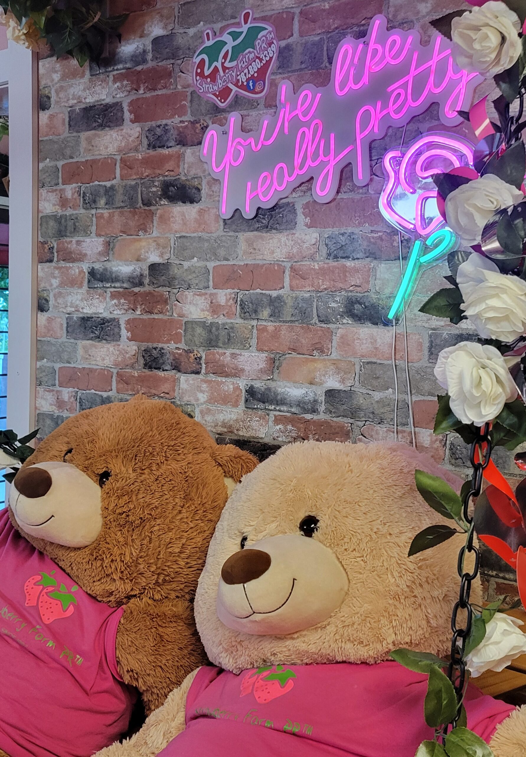 Valentines Trip -> Deposit $200 Per Person