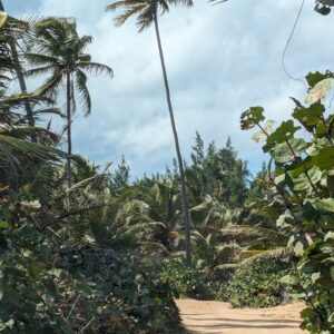 420 2026 Trip -> Deposit $350 Per Person